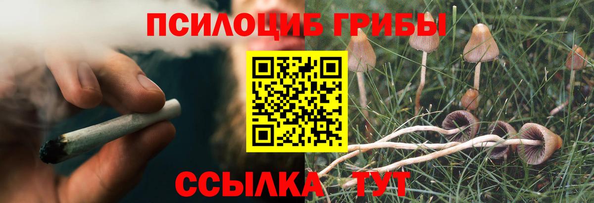 Псилоцибиновые грибы Psilocybe  Вход с VPN  Ржев 
