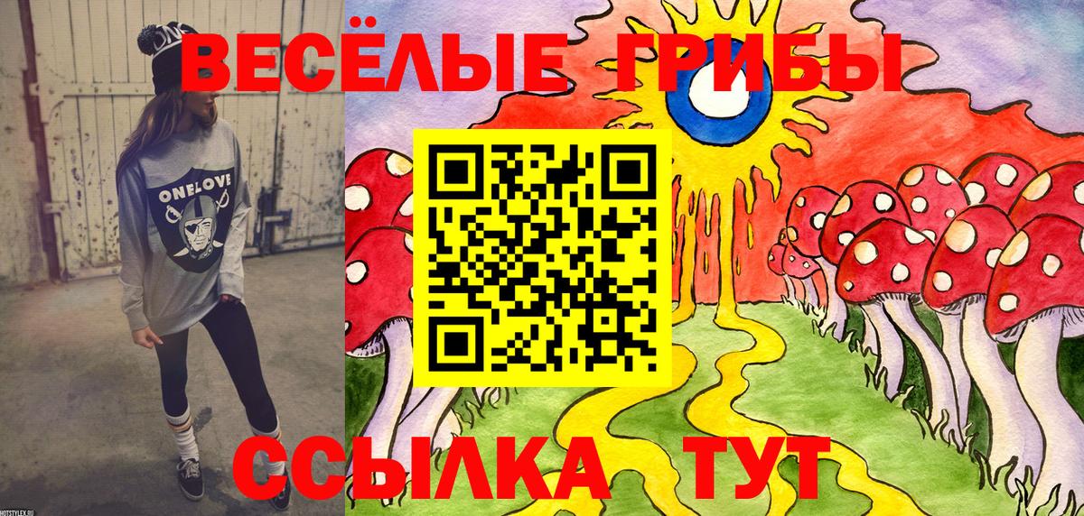 Псилоцибиновые грибы Psilocybine cubensis Ржев